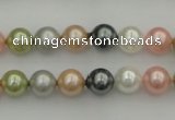 CSB310 15.5 inches 8mm round mixed color shell pearl beads