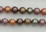 CSB312 15.5 inches 8mm round mixed color shell pearl beads