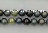 CSB316 15.5 inches 8mm round mixed color shell pearl beads