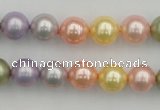 CSB330 15.5 inches 10mm round mixed color shell pearl beads