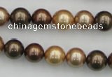 CSB342 15.5 inches 10mm round mixed color shell pearl beads