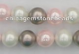 CSB356 15.5 inches 12mm round mixed color shell pearl beads