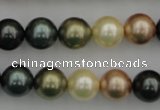 CSB361 15.5 inches 12mm round mixed color shell pearl beads