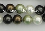 CSB362 15.5 inches 12mm round mixed color shell pearl beads