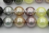 CSB364 15.5 inches 12mm round mixed color shell pearl beads