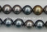 CSB366 15.5 inches 12mm round mixed color shell pearl beads