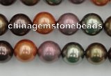 CSB368 15.5 inches 12mm round mixed color shell pearl beads