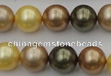 CSB375 15.5 inches 14mm round mixed color shell pearl beads