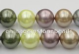 CSB381 15.5 inches 14mm round mixed color shell pearl beads