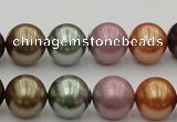 CSB383 15.5 inches 14mm round mixed color shell pearl beads