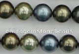 CSB384 15.5 inches 14mm round mixed color shell pearl beads