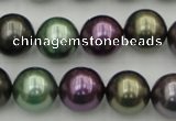 CSB386 15.5 inches 14mm round mixed color shell pearl beads