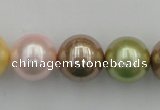 CSB393 15.5 inches 16mm round mixed color shell pearl beads