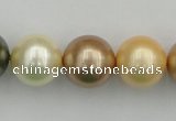 CSB394 15.5 inches 16mm round mixed color shell pearl beads