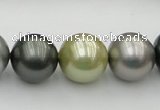 CSB398 15.5 inches 16mm round mixed color shell pearl beads