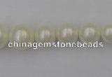 CSB401 15.5 inches 8mm - 16mm round shell pearl beads