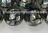 CSB4034 15.5 inches 14mm ball abalone shell beads wholesale