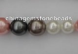 CSB408 15.5 inches 8mm - 16mm round mixed color shell pearl beads