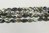 CSB4126 15.5 inches 8*12mm oval abalone shell beads wholesale