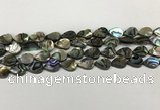 CSB4135 15.5 inches 8*12mm flat teardrop abalone shell beads