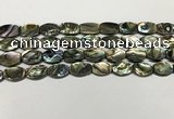 CSB4159 15.5 inches 8*12mm flat drum abalone shell beads wholesale