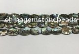 CSB4161 15.5 inches 12*16mm flat drum abalone shell beads wholesale