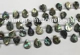 CSB4186 Top drilled 10*14mm flat teardrop balone shell beads