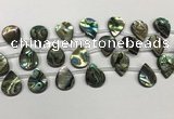 CSB4188 Top drilled 13*18mm flat teardrop balone shell beads