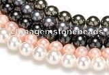 CSB43 16 inches 10mm round shell pearl beads Wholesale