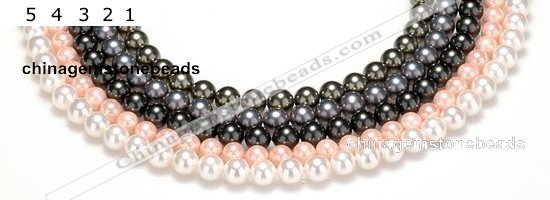 CSB43 16 inches 10mm round shell pearl beads Wholesale