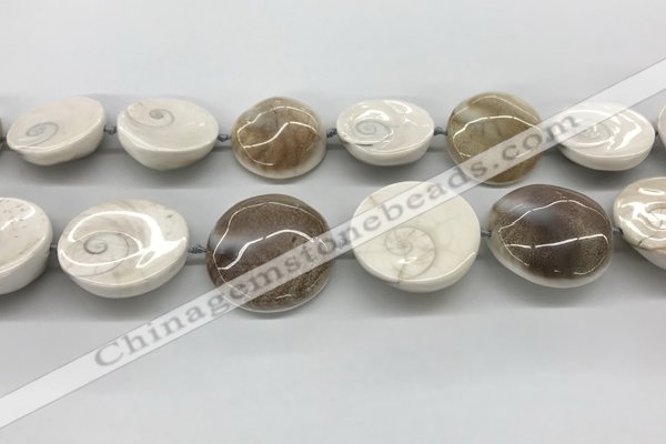 CSB4502 15.5 inches 28mm - 35mm freeform shell beads wholesale