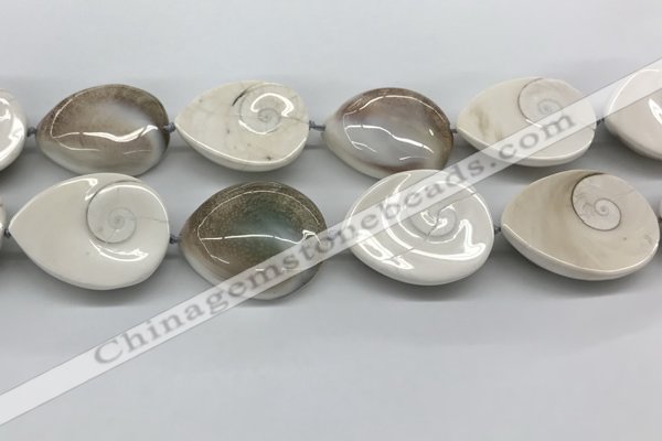 CSB4505 15.5 inches 28*38mm - 32*42mm teardrop shell beads wholesale