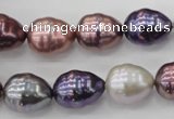 CSB553 15.5 inches 12*15mm whorl teardrop mixed color shell pearl beads