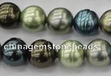 CSB623 15.5 inches 14mm whorl round mixed color shell pearl beads