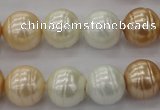 CSB624 15.5 inches 14mm whorl round mixed color shell pearl beads