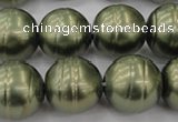 CSB647 15.5 inches 18mm whorl round shell pearl beads