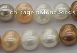 CSB695 15.5 inches 13*15mm oval mixed color shell pearl beads