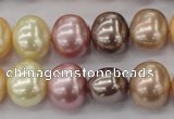 CSB699 15.5 inches 13*15mm oval mixed color shell pearl beads