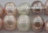 CSB713 15.5 inches 16*19mm oval mixed color shell pearl beads