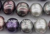 CSB714 15.5 inches 16*19mm oval mixed color shell pearl beads