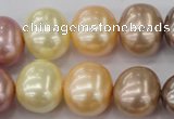 CSB715 15.5 inches 16*19mm oval mixed color shell pearl beads