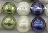 CSB717 15.5 inches 16*19mm oval mixed color shell pearl beads