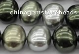 CSB718 15.5 inches 16*19mm oval mixed color shell pearl beads