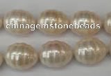 CSB885 15.5 inches 13*16mm whorl teardrop shell pearl beads wholesale