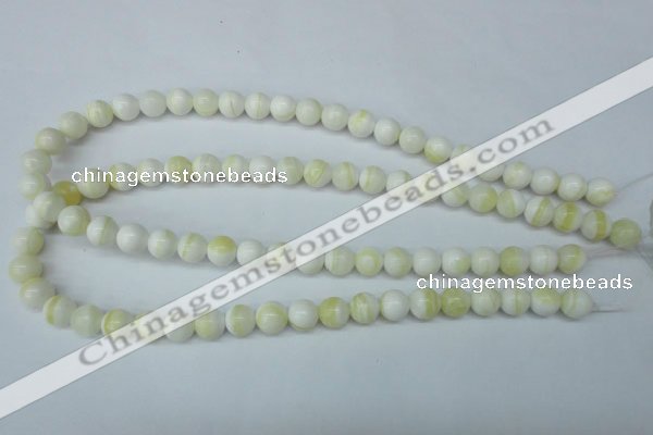 CSB953 15.5 inches 10mm round shell pearl beads wholesale