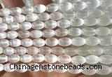 CSE634 15 inches 6*9mm rice selenite beads wholesale