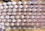 CSE694 15 inches 6*9mm rice selenite beads wholesale