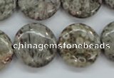 CSF01 15.5 inches 20mm flat round shell fossil jasper beads