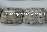 CSF09 15.5 inches 18*25mm rectangle shell fossil jasper beads