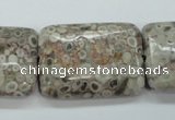 CSF10 15.5 inches 22*30mm rectangle shell fossil jasper beads